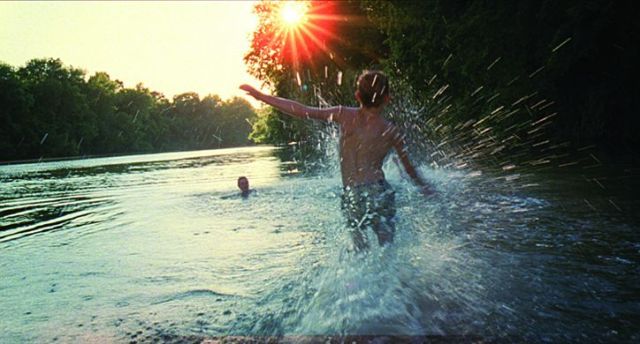 tree-of-life-water-splash