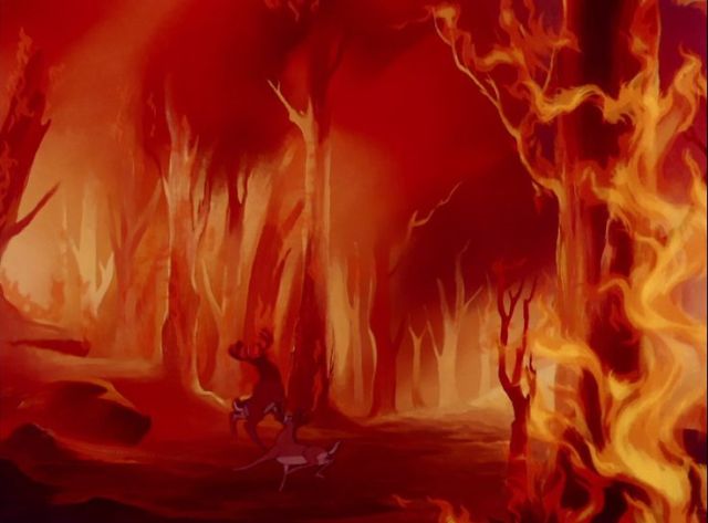 3ee172ba55d92ca72e1ca513b3b04318--cinematography-lions