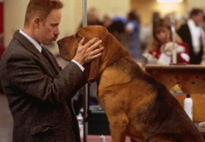 MV5BMTQ1NTMyNDkzNl5BMl5BanBnXkFtZTYwMDA2OTI3._V1_