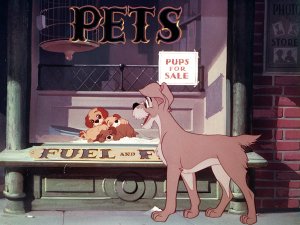 MV5BMTk3MjMzODUyM15BMl5BanBnXkFtZTcwMzQxMDIyNw@@._V1_SY1000_CR0,0,1328,1000_AL_